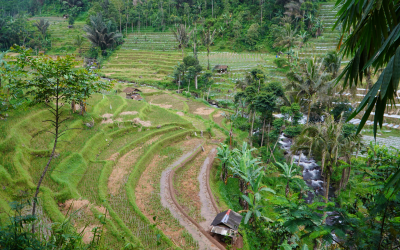 Bumi adalah Kehidupan bagi Makhluk Hidup